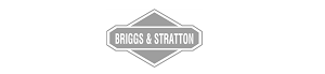 briggs